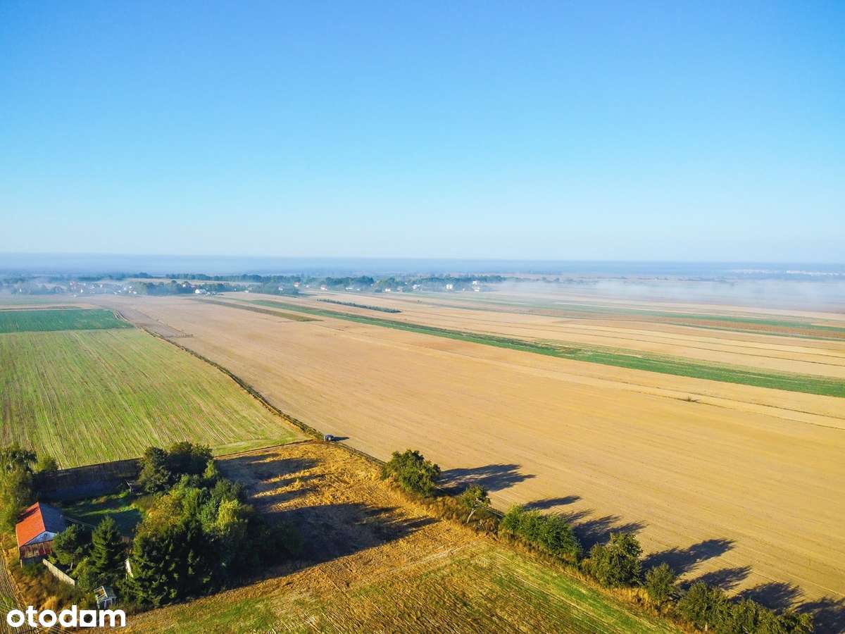 Wyjątkowo niska cena! 6km do Łęcznej, 30km do Lublina - Pełny obrazek: 5/10
