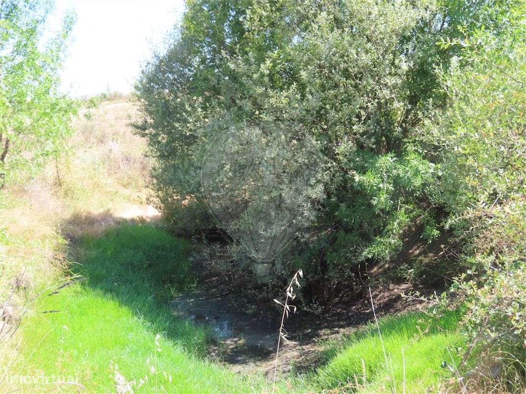 Quinta  para venda - Grande imagem: 3/49