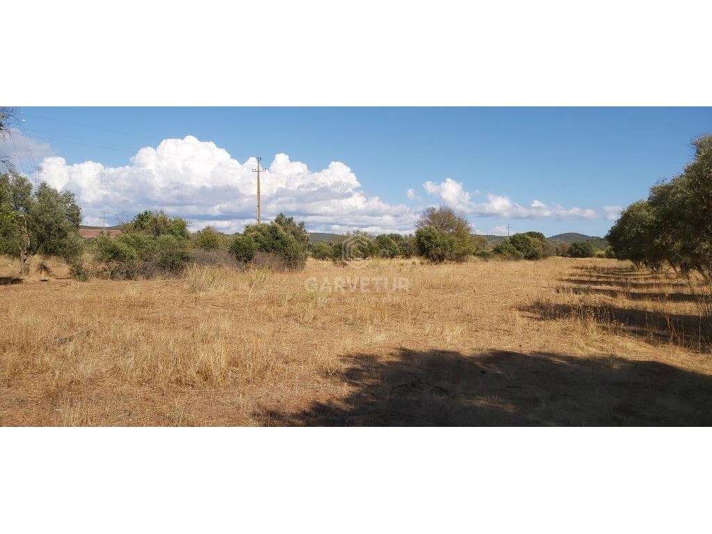 Terreno rústico, em zona agrícola, Porto dos Pires, Paderne, Albufe... - Grande imagem: 3/20