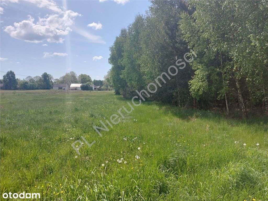 Działka, 2 300 m², Strugi Krzywickie - Pełny obrazek: 5/17