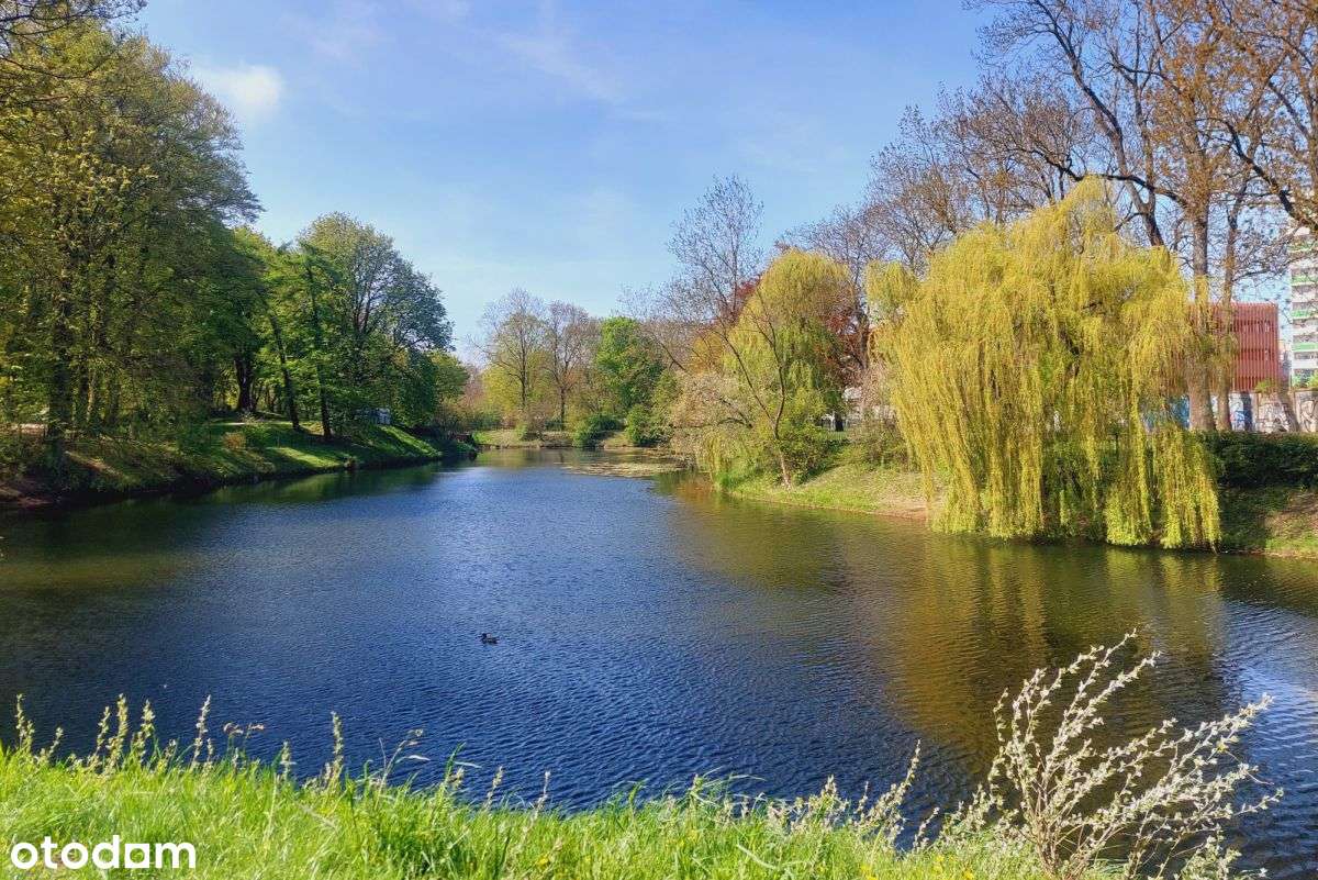 Penthouse | Centrum Park | Kołobrzeg - Pełny obrazek: 4/20