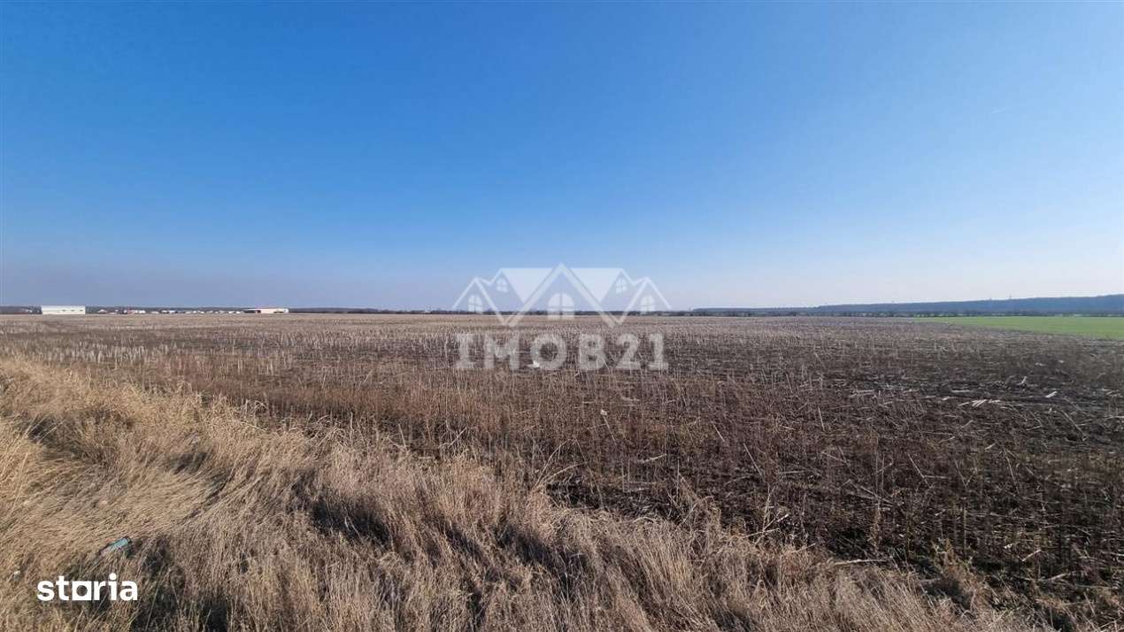 Teren extravilan de vanzare in Aricestii Rahtivani 11000 mp-1