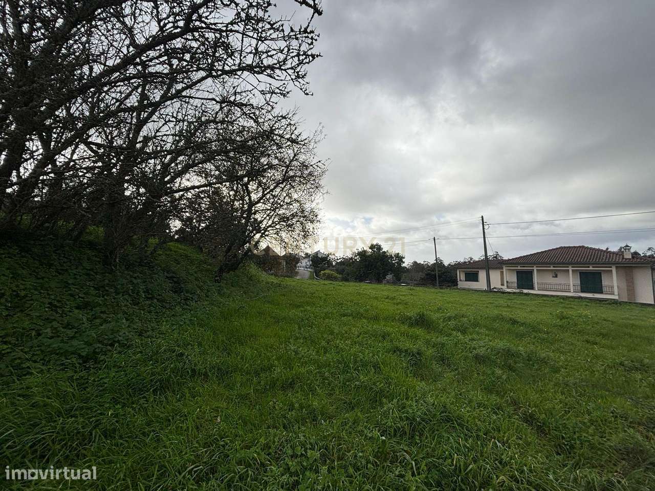 Terreno com viabilidade construtiva em Calvaria, Vermoil, Pombal - Grande imagem: 4/10