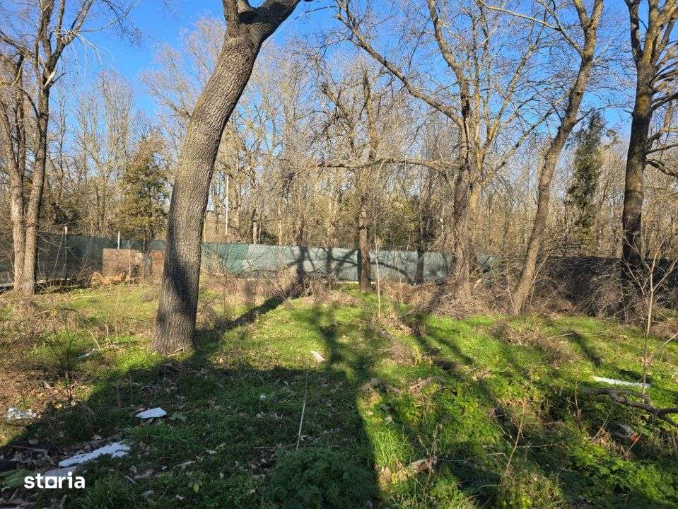 Neptun - Teren construibil in Padurea Comorava-4