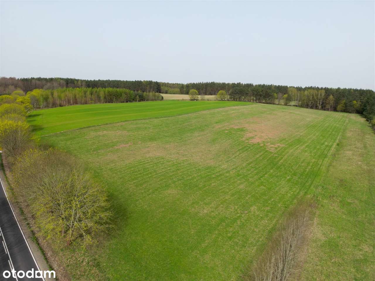 działka rolna o pow. 11300 m2 oraz dwie mniejsze! - Pełny obrazek: 4/8