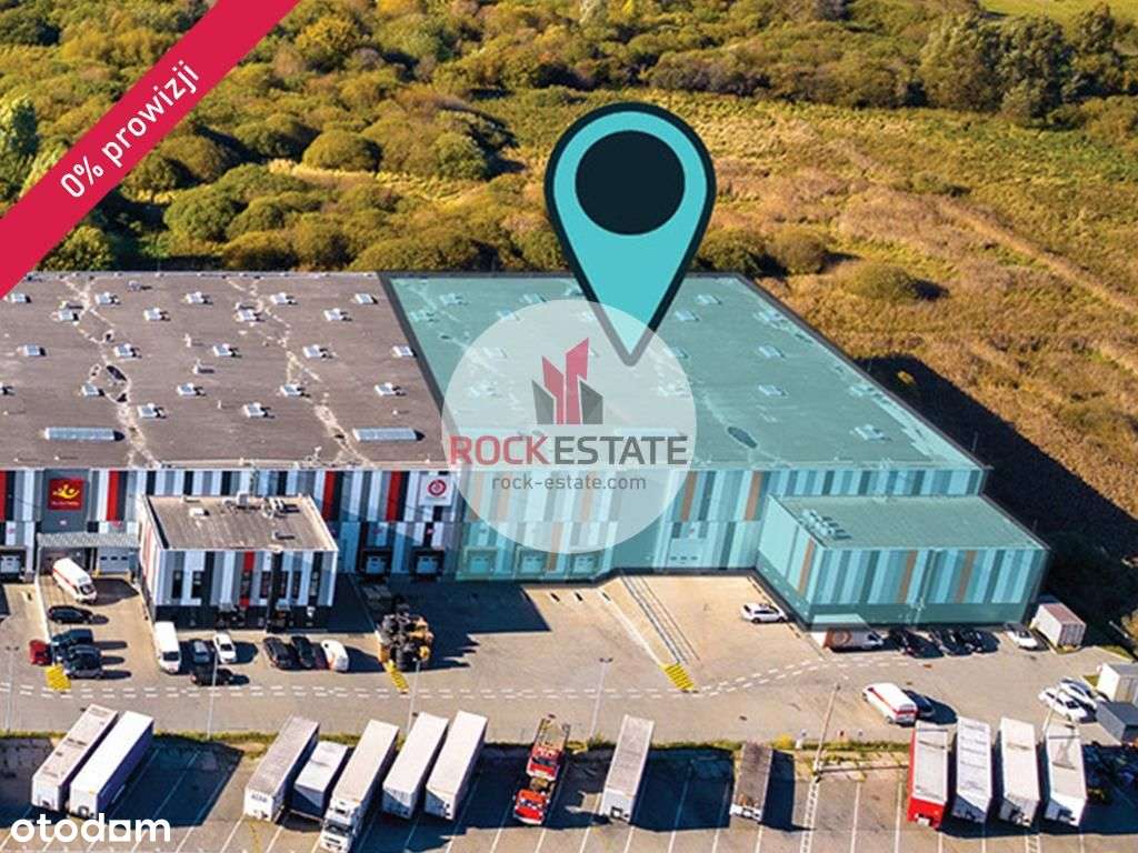 Magazyn w Gdyni od zaraz 3578 m2 - 0% prowizji - Pełny obrazek: 5/5