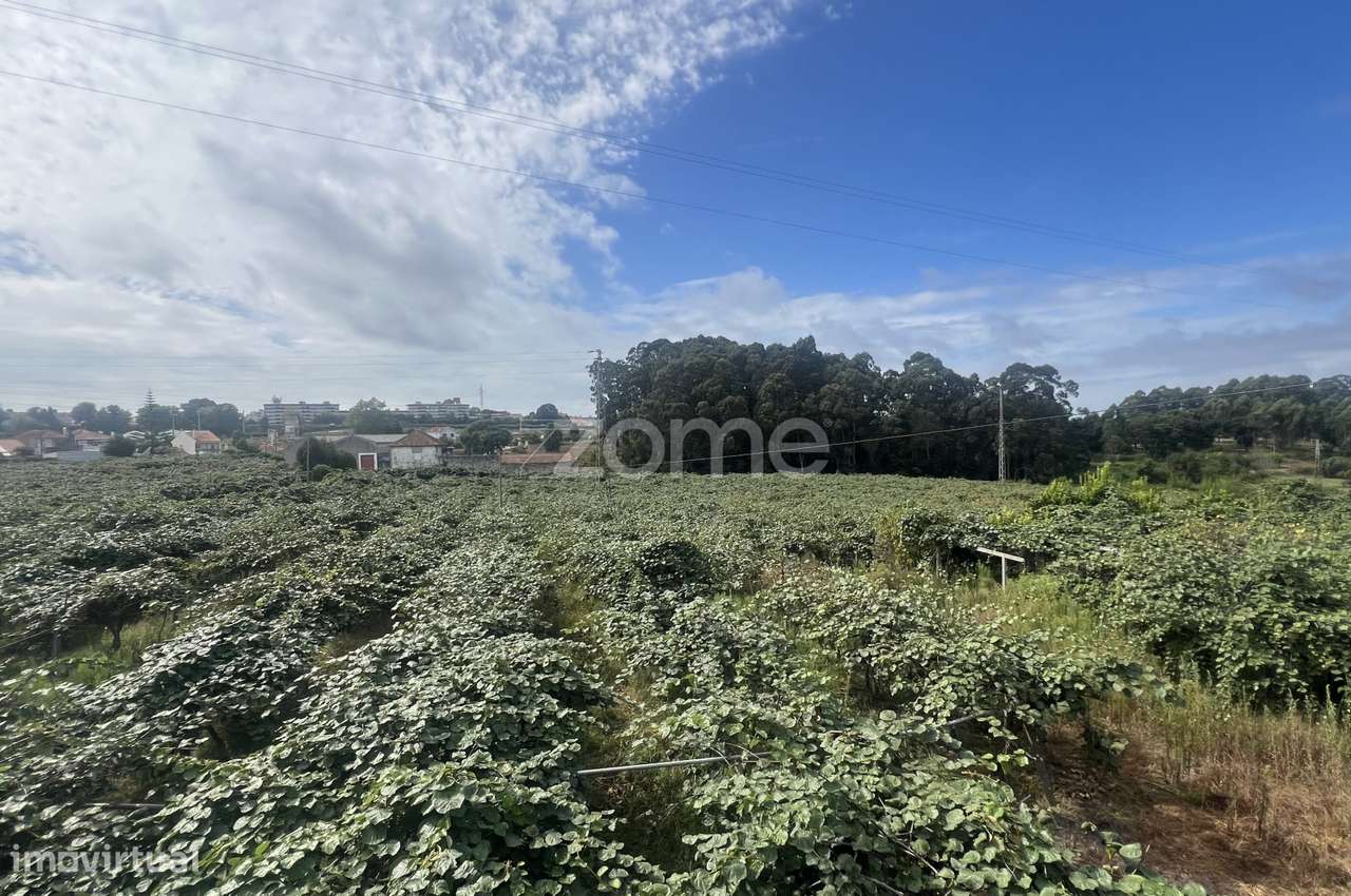 Moradia T5, anexo, terraços, vários LGs e terreno S. Mamede Infesta - Grande imagem: 1/60