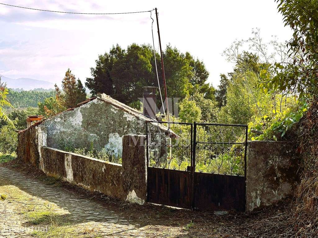 Moradia Térrea para Restauro para venda em Lanheses - Viana do Castelo - Grande imagem: 2/8