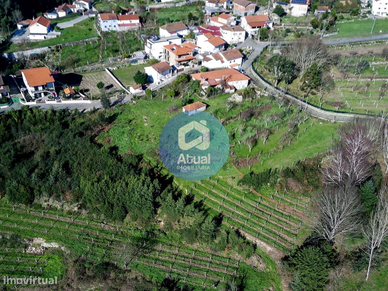 Quinta  Venda em Abragão,Penafiel - Grande imagem: 4/18