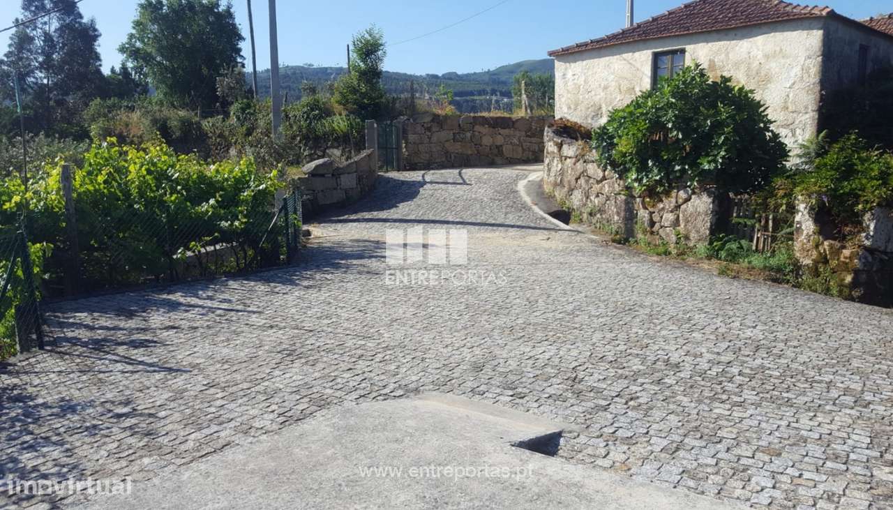 Venda de Terreno c/ 4700 m2, Espadanedo, Cinfães - Grande imagem: 4/35