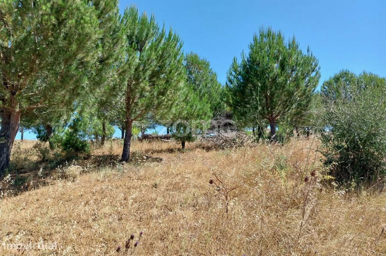 Terreno Rústico com 18.420m2 nos Campilhos, S.B.Messines - Grande imagem: 4/28