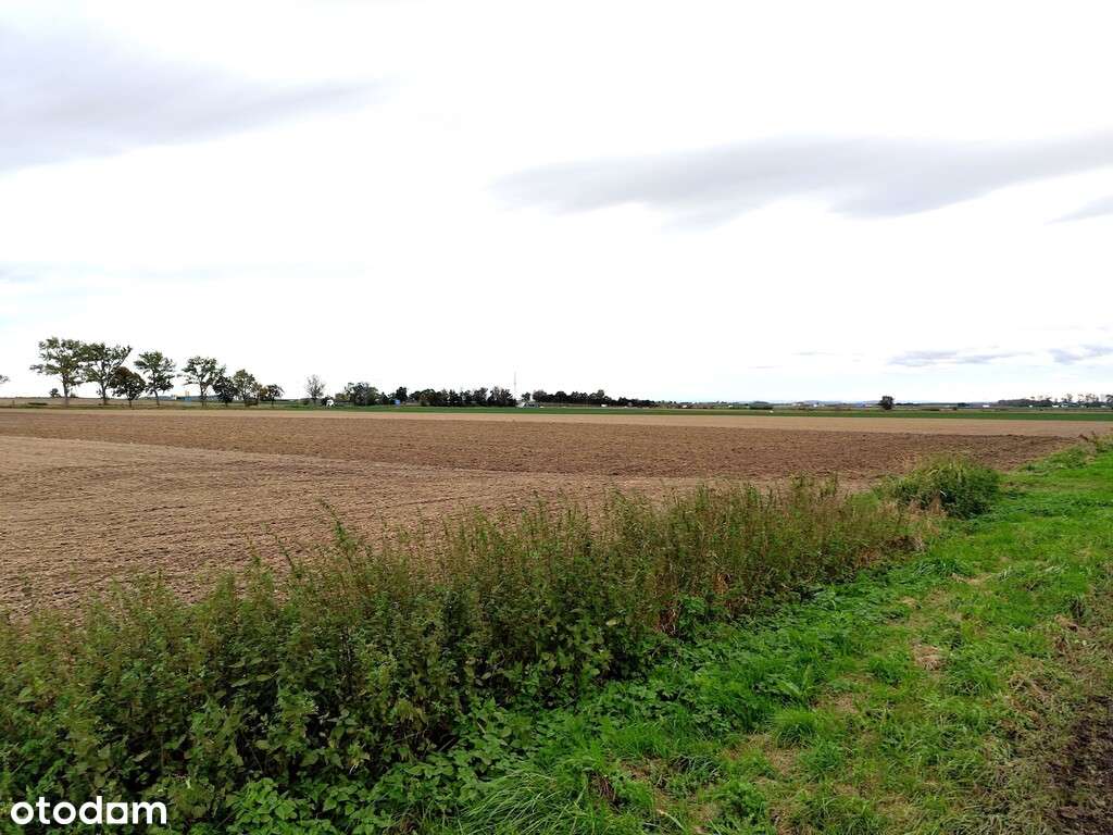 Działka | Pod inwestycję |Kostomłoty |Węzeł A4-7