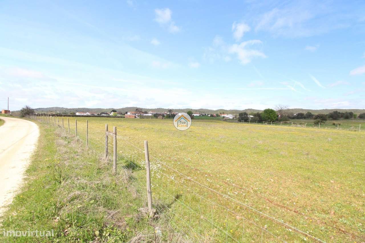 Terreno rústico urbanizável com 11.750 m2, localizado em Motrinos, con - Grande imagem: 4/24
