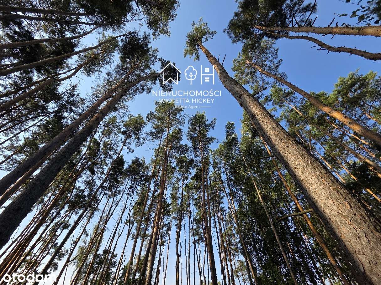 Teren inwestycyjny 5,76 ha – pod zabudowę mieszkaniową 1 ha 2365 m²-8