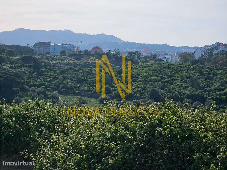 Espaço Comercial na Mira-Sintra – 32,5 m²-6