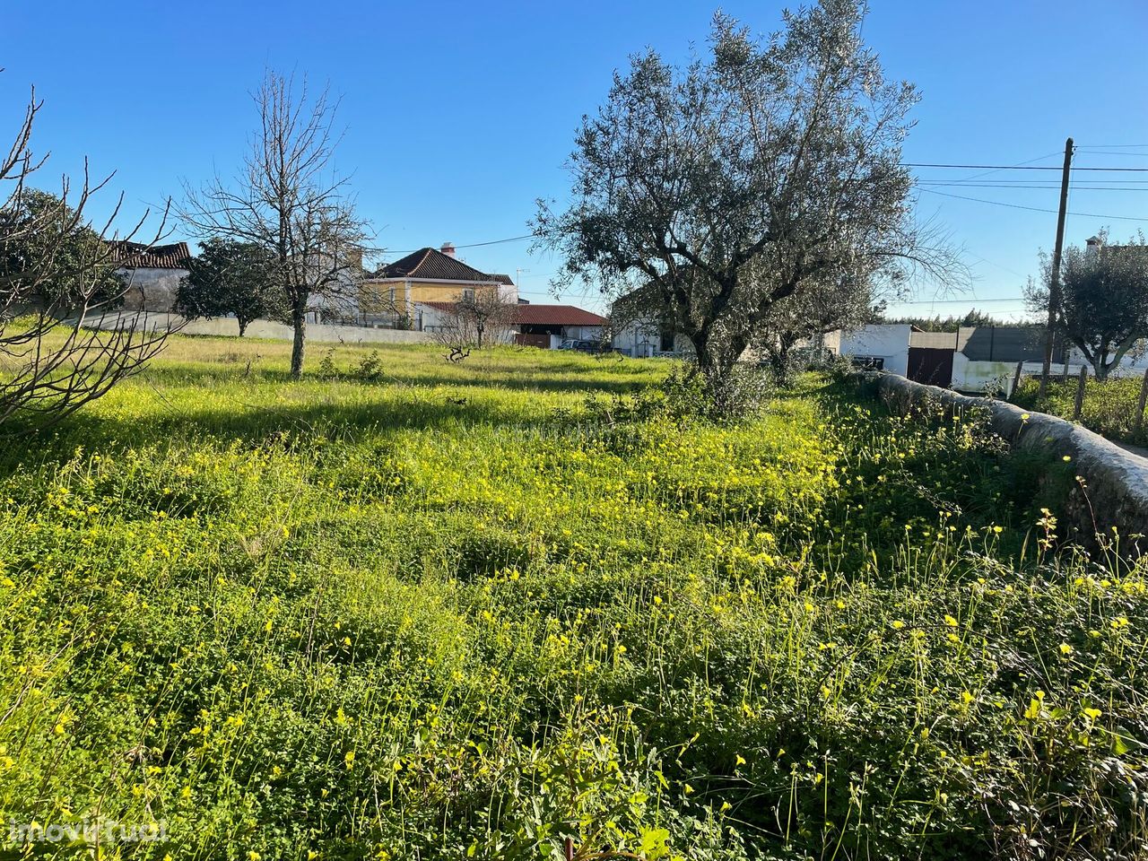 Terreno para venda em Carreira do Mato,