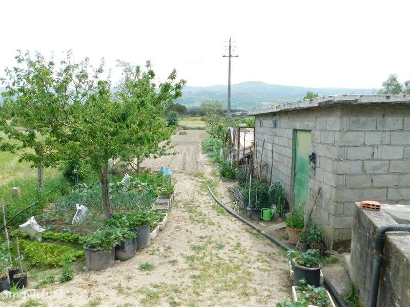 Terreno Rústico / Seia, Pinhanços - Grande imagem: 1/7