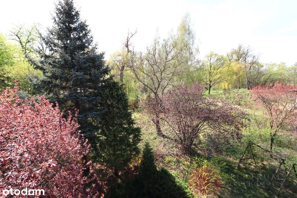 Dom 350m 23 ar działka centr. dzielnicy Czarnowąsy-11