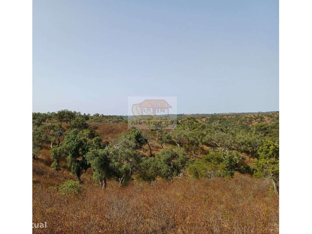 Hotel Rural: PRONTO A CONSTRUIR com todos os projectos aprovados-5