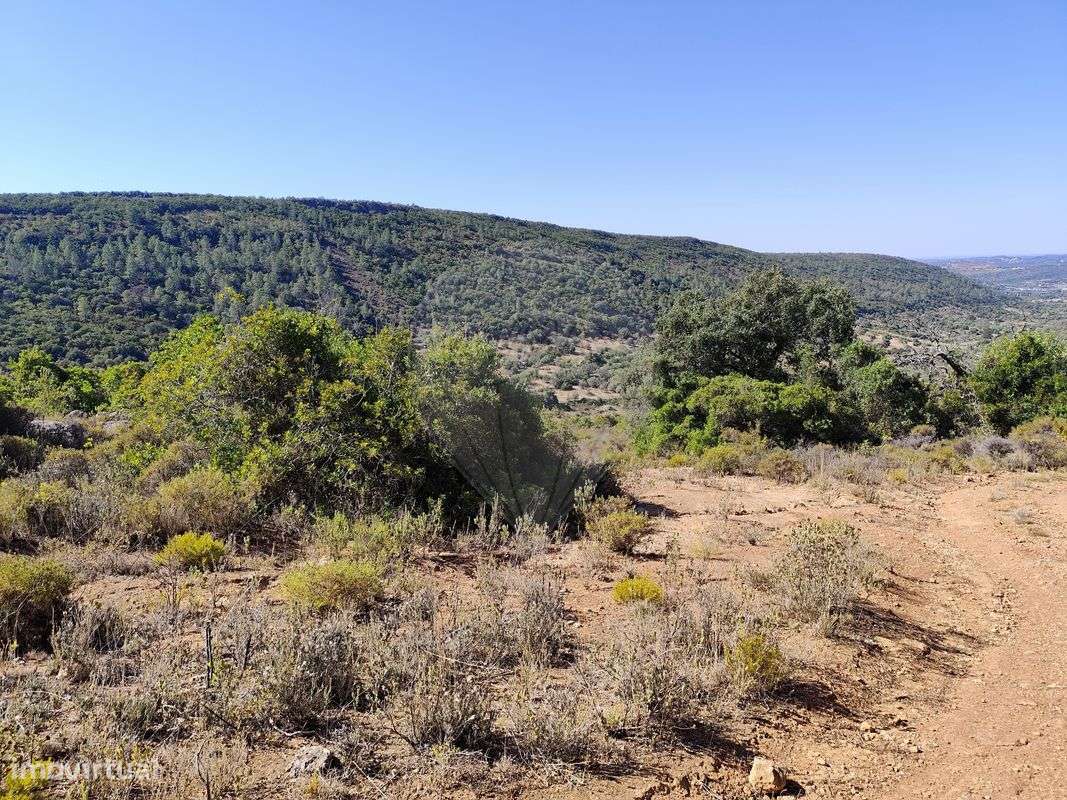 Terreno  para venda - Grande imagem: 4/4