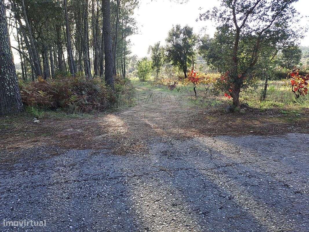 Terreno  para venda - Grande imagem: 4/15