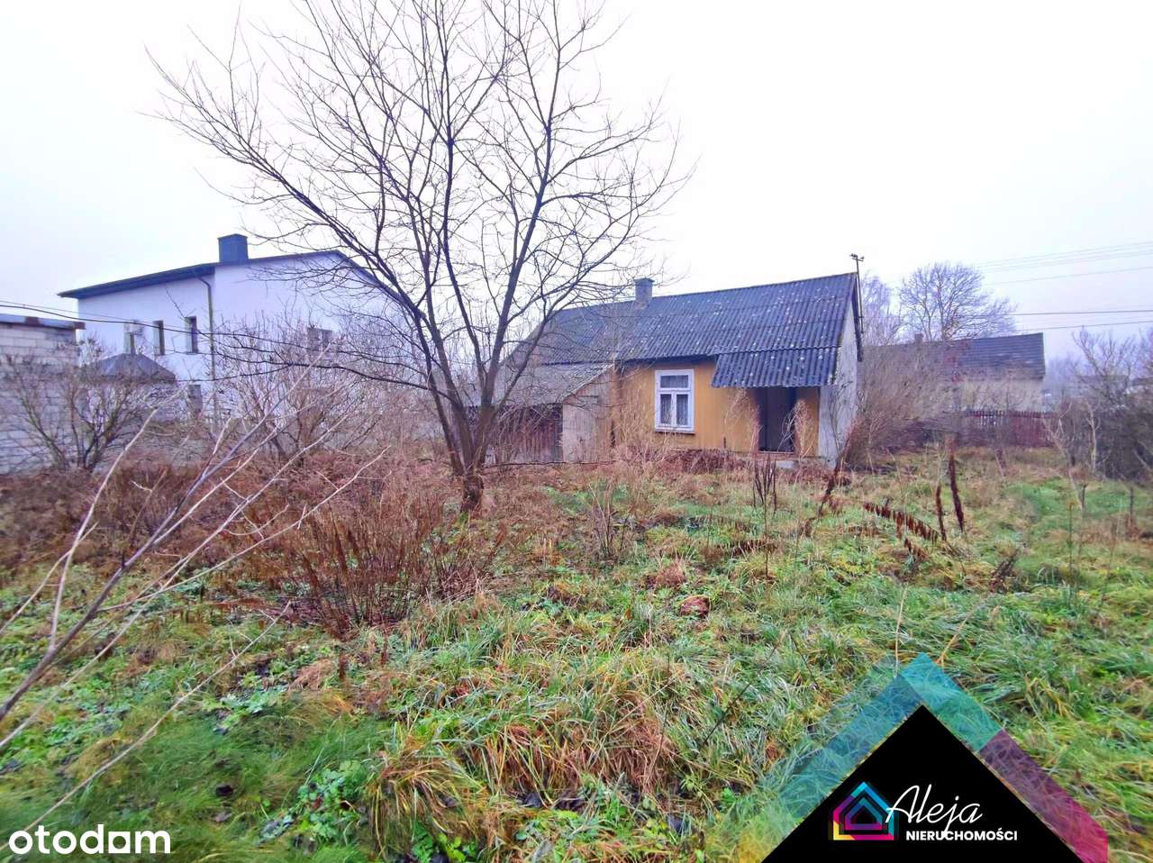 Ogromna działka ze starym domem - Pełny obrazek: 4/11