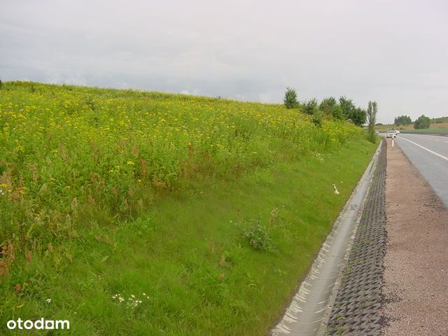 Działka rolna - Jankowo Gdańskie