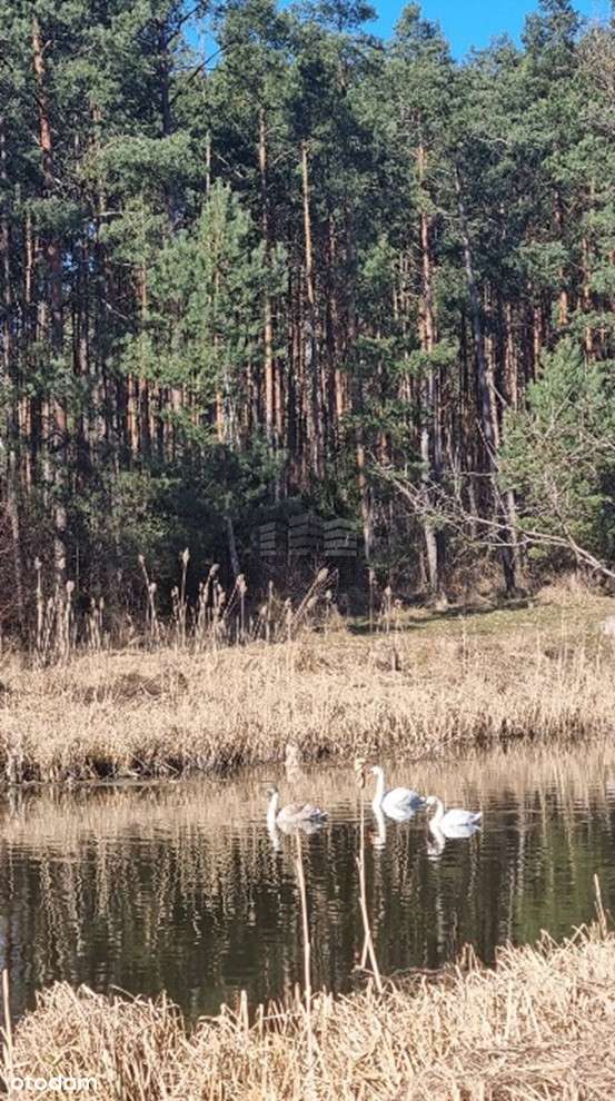 Zamość - 9534m2, WZ na 9domów-doskonała inwestycja-8