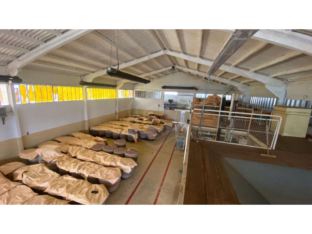 Fabrica com 3 Pavilhões independentes - Grande imagem: 2/32