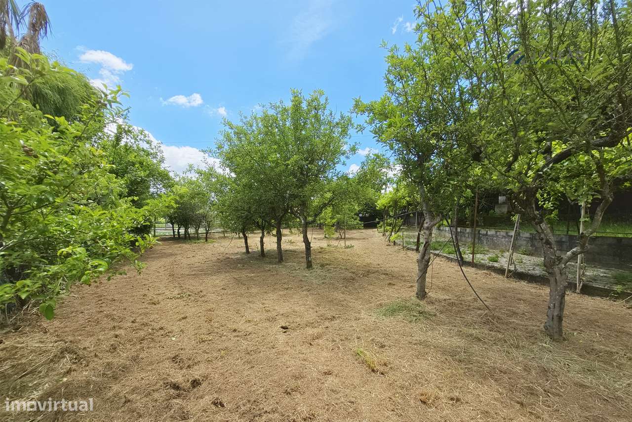 Quinta T4 com 3.670 m² de Terreno em Bitarães, Paredes-35