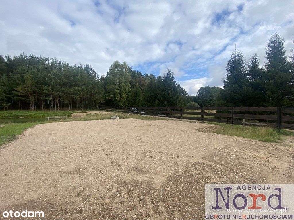 Działka ze stawem - Pełny obrazek: 4/13