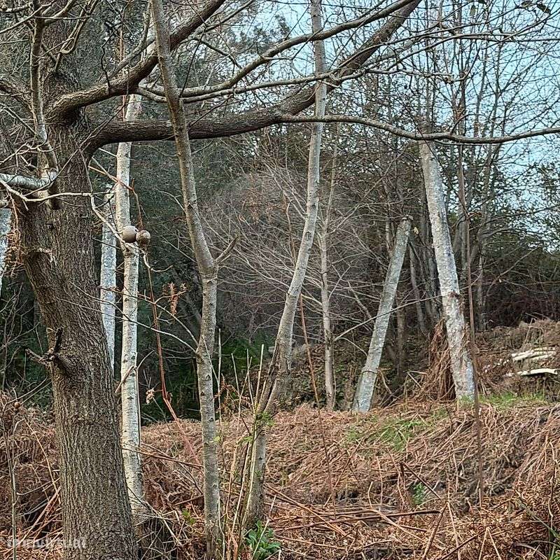 Terreno  para venda - Grande imagem: 3/6