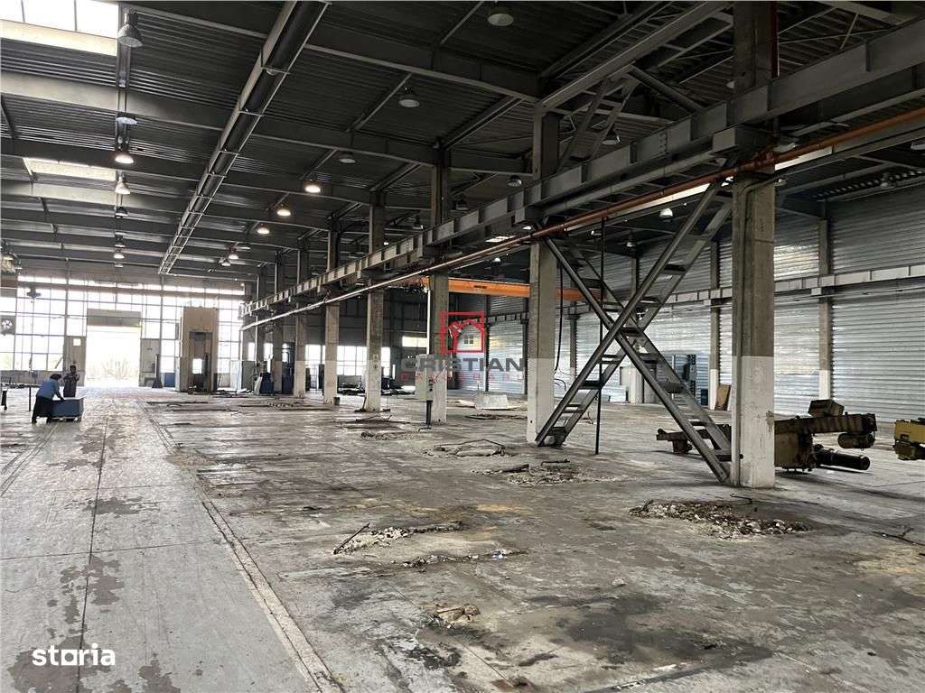 Inchiriere depozithalaspatiu industrial Militari - Timisoara - Imagine principală: 2/17