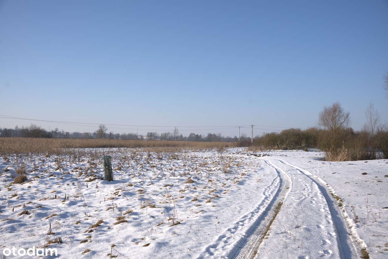 Działka 0,5399 ha - Jakuszowice, gm. Kazimierza Wielka, świętokrzyskie-3