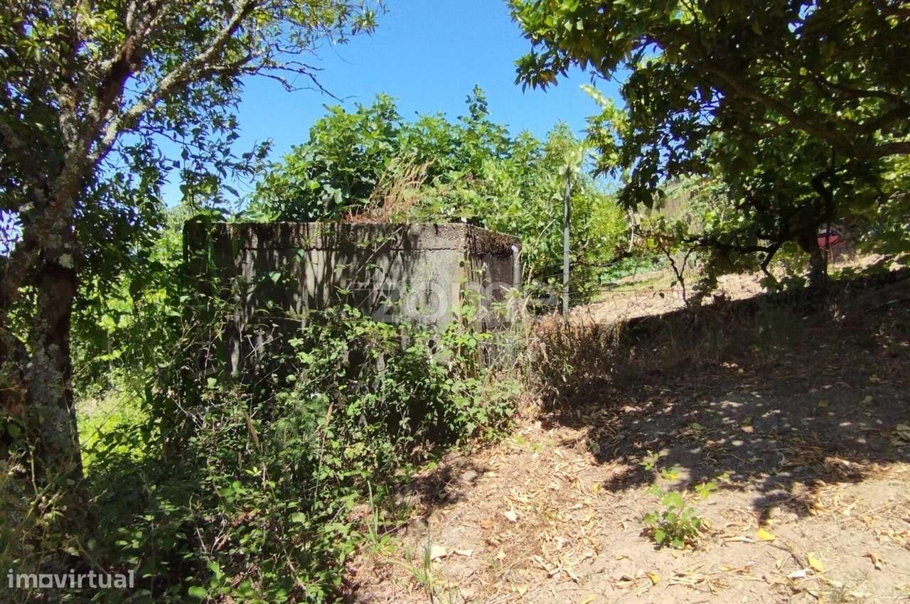 Terreno Almagreira-11