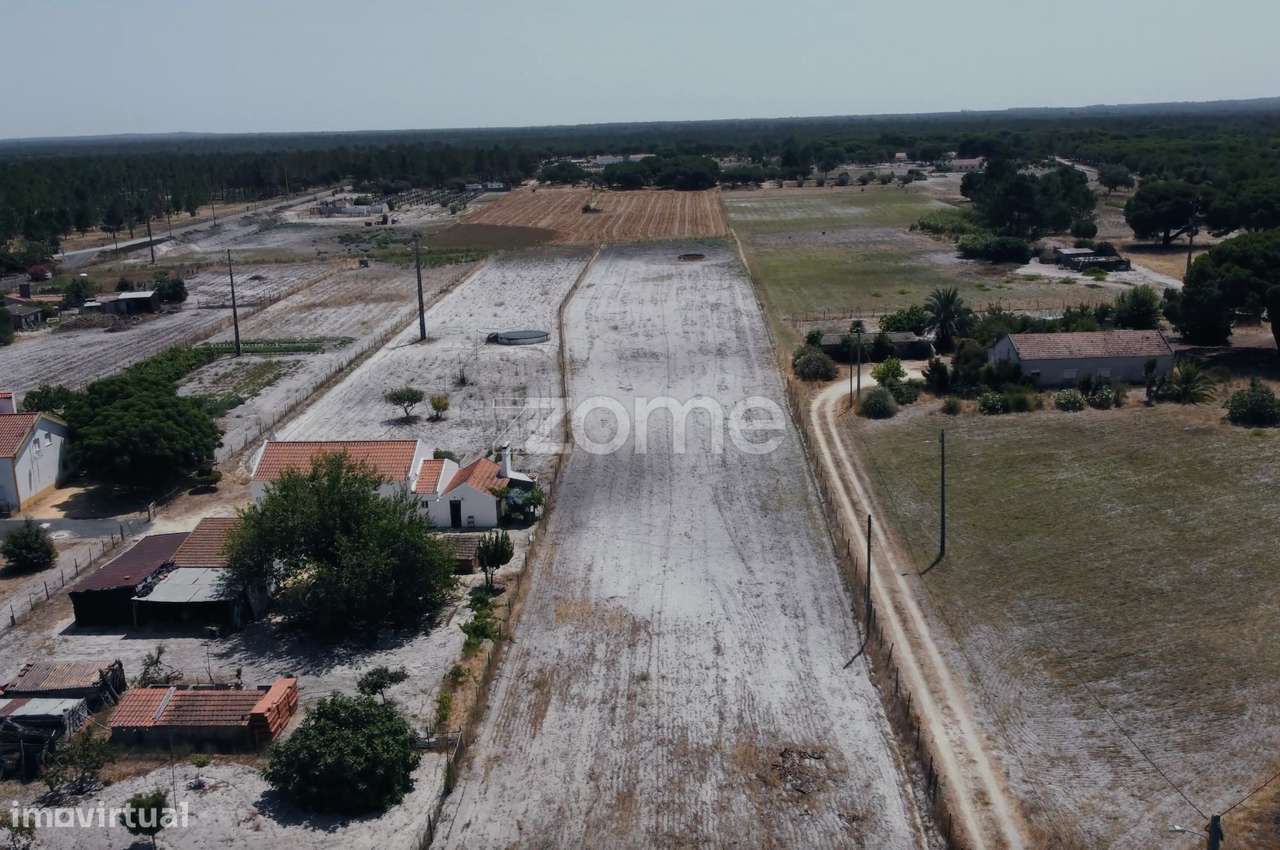 Terreno Rústico Melides - Grande imagem: 5/7