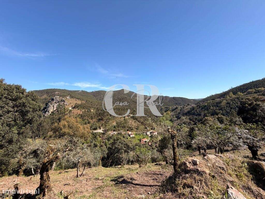 Moradia na Aldeia de Xisto de Casal de São Simão - Figueiró dos Vinhos-54