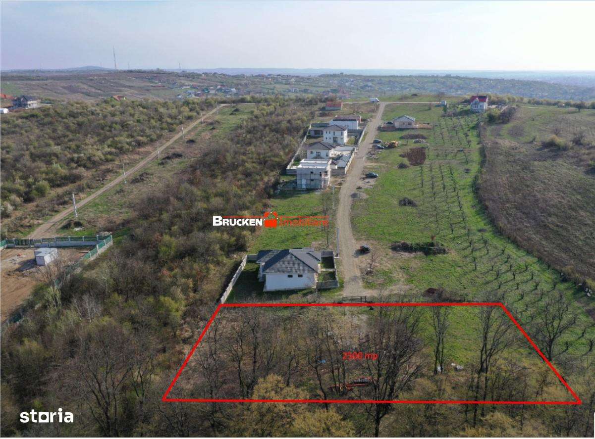2500 MP | PARCELABIL IN 4 LOTURI DE CASA | ZONA DEALURI - Imagine principală: 2/5