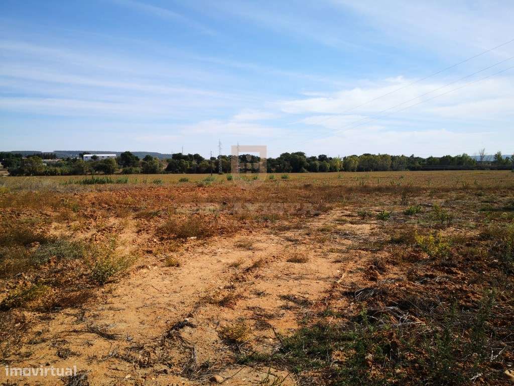 Terreno industrial - comercial - Entroncamento-0