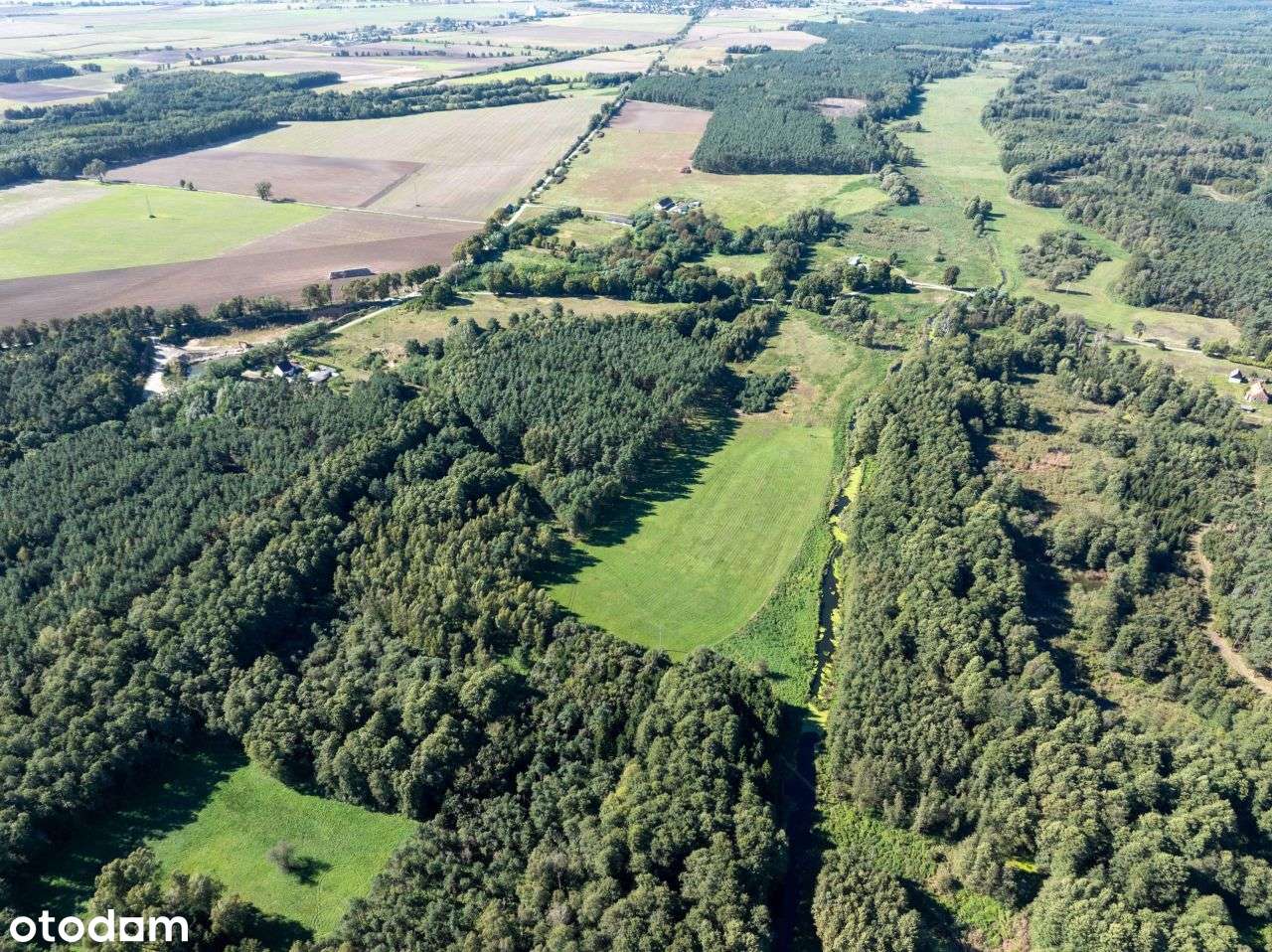 Działka 7,2 ha- przyroda i potencjał inwestycyjny-19