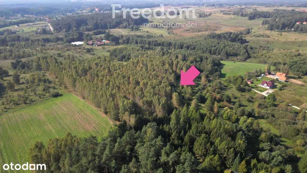 Działka budowlana z warunkami zabudowy  Ługwałd - Pełny obrazek: 4/9