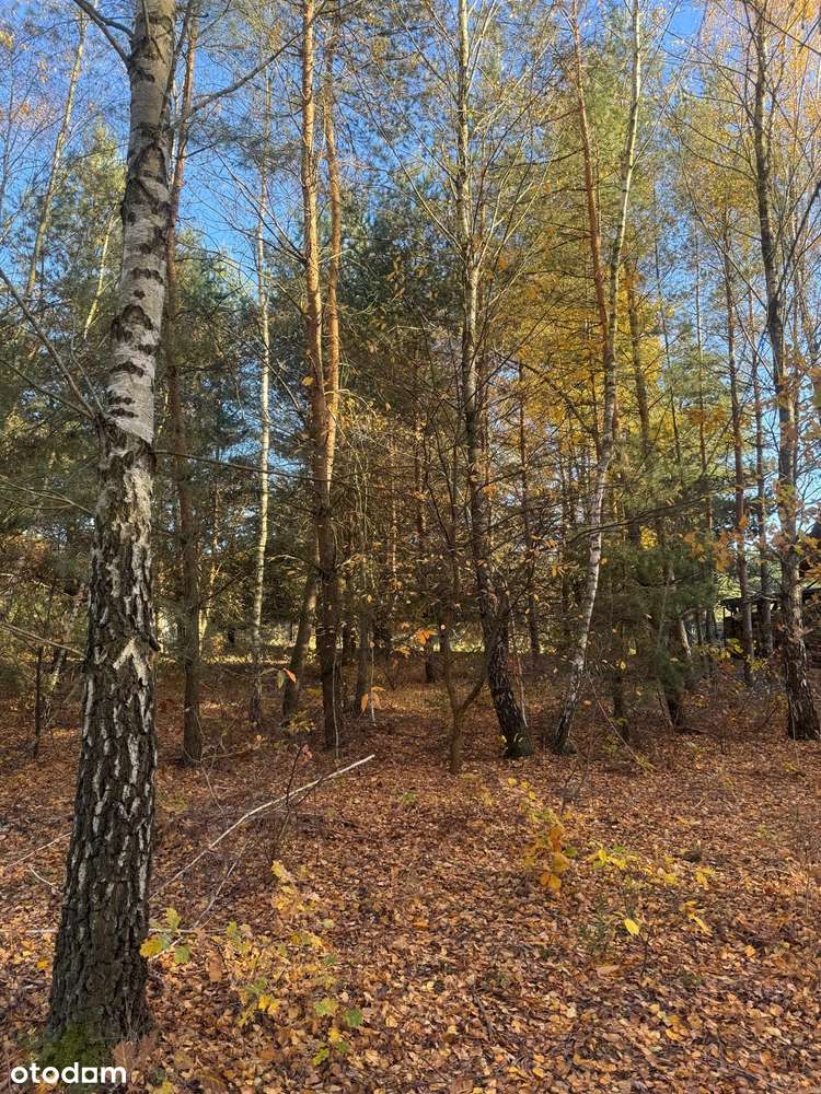 Siestrzeń. Marynin. Działka budowlana - Pełny obrazek: 4/5