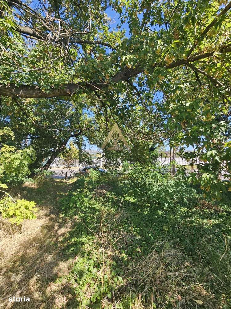 TEREN INTRAVILAN DE VANZARE ONESTI-0