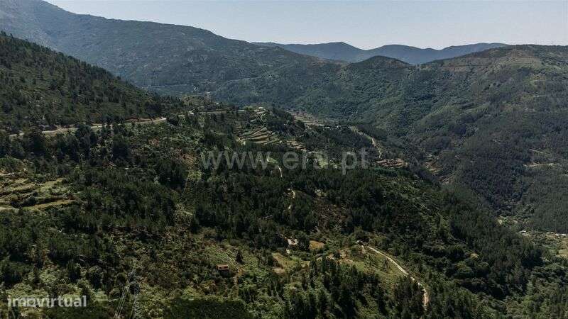 Terreno / Seia, Loriga - Grande imagem: 4/16