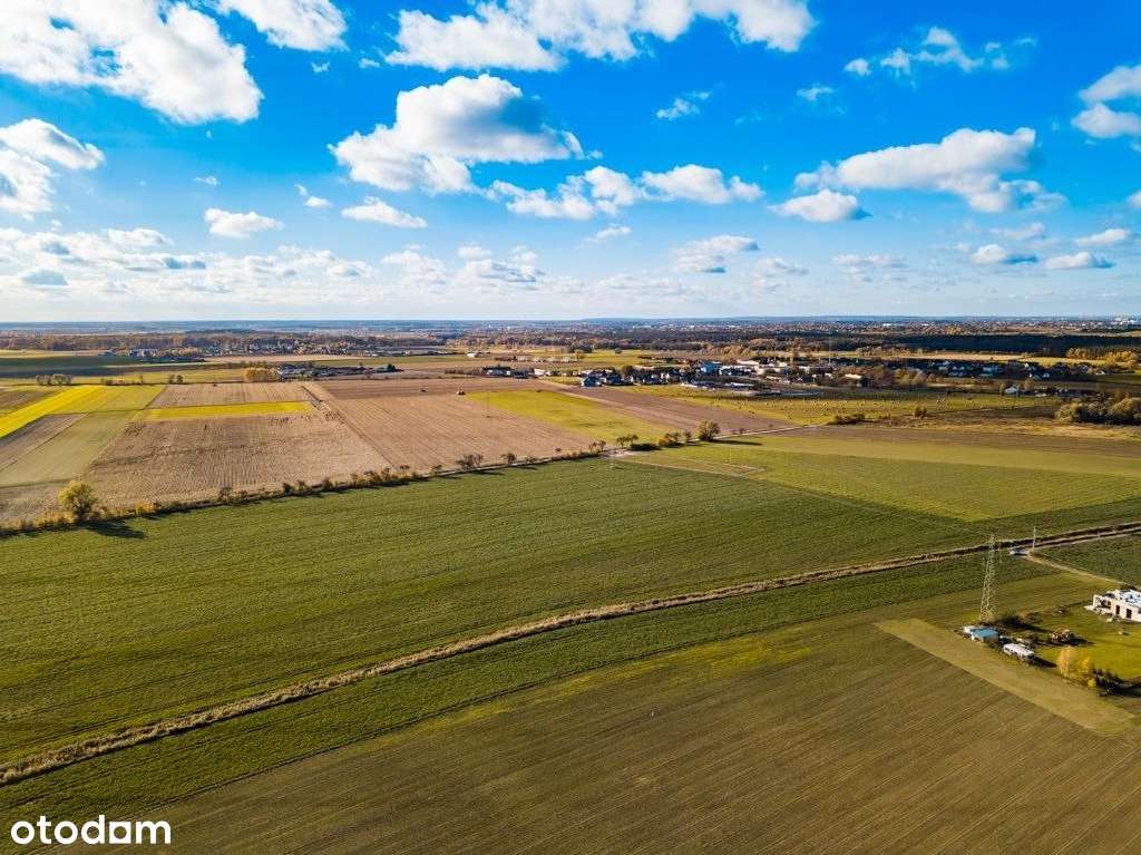 Zalasewo, ulica Spacerowa Nowy podział-5