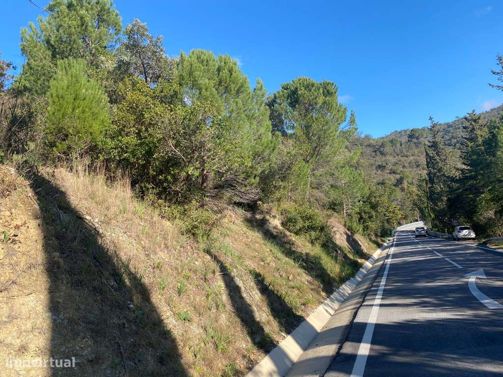 Lote de terreno rústico com 4.750m2, Loulé, Algarve - Grande imagem: 3/16