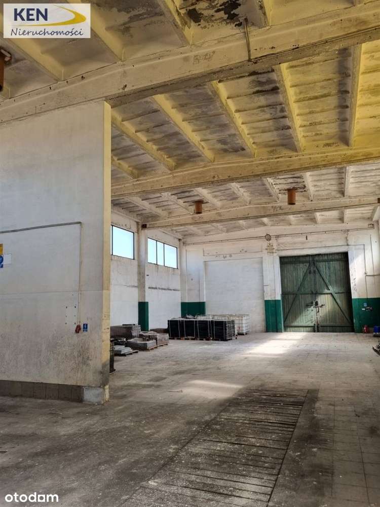 Działka inwestycyjna z halą-11