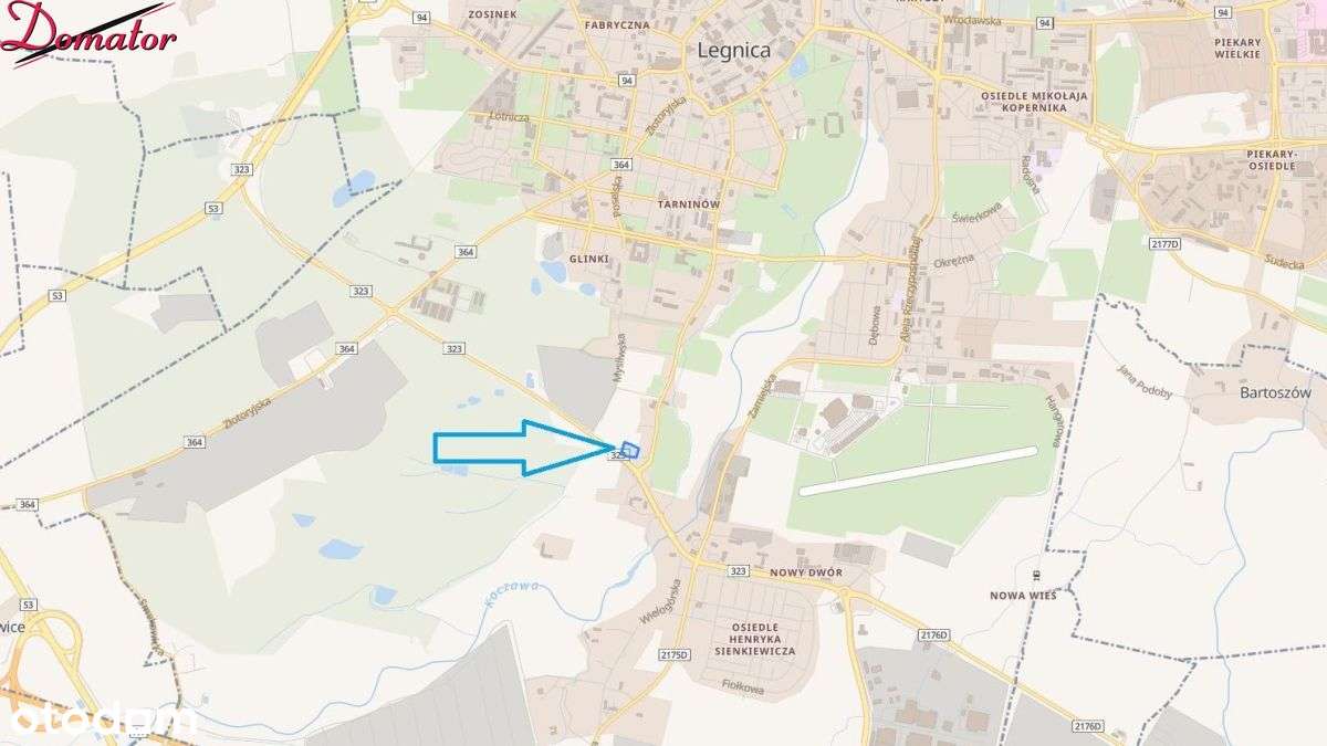 Usługi + obsługa komunikacji samochodowej-0