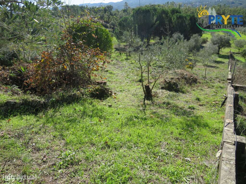 Moradia T5 situada a 10 minutos de Vila de Rei-16