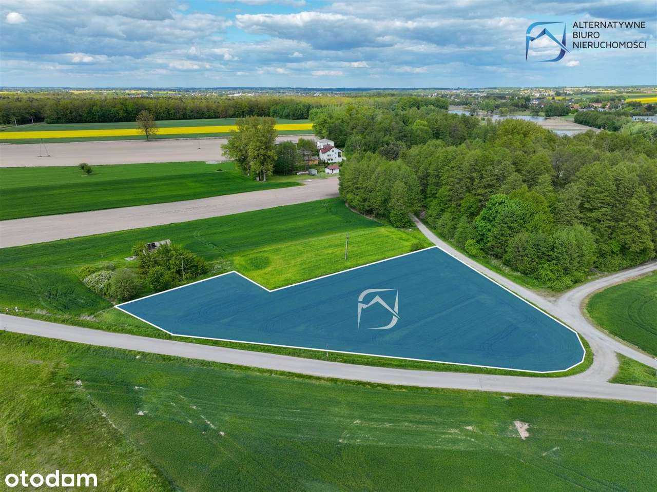 Duża, ustawna działka - Niedrzwica Kościelna - Pełny obrazek: 3/8